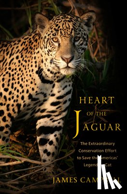 Campbell, James - Heart of the Jaguar