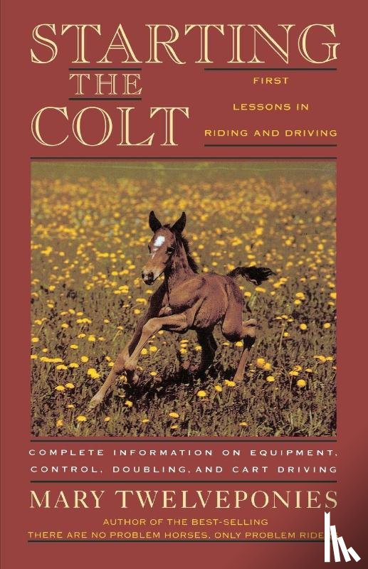 Twelveponies, Mary - Starting the Colt