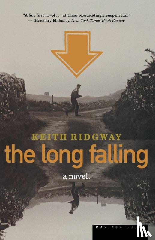 Ridgway, Keith - The Long Falling