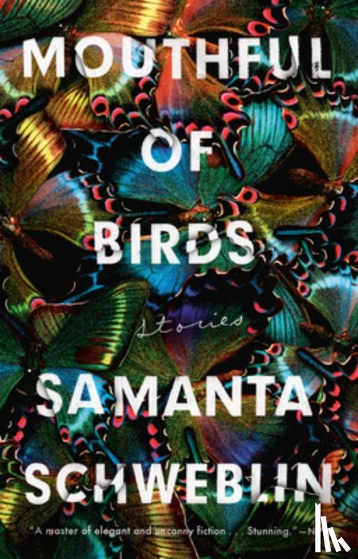 Samanta Schweblin - Mouthful of Birds