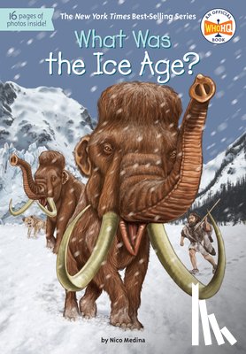 Medina, Nico, Groff, David - What Was the Ice Age?