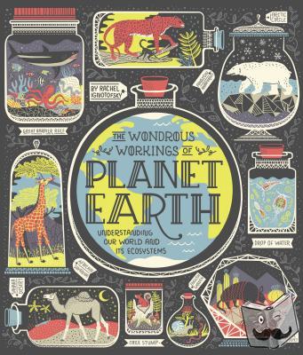 Ignotofsky, Rachel - The Wondrous Workings of Planet Earth