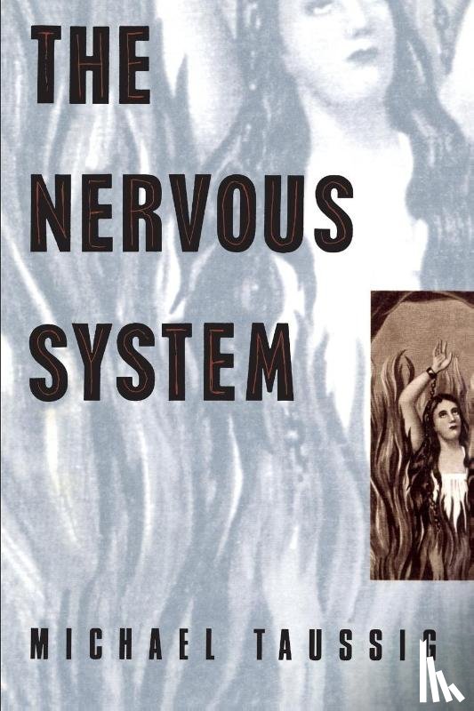 Taussig, Michael - The Nervous System