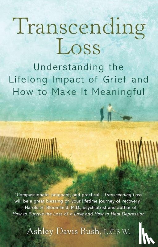Ashley Davis Bush - Transcending Loss