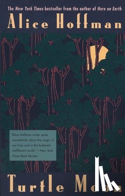 Hoffman, Alice - Turtle Moon