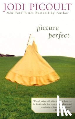 Picoult, Jodi - Picture Perfect