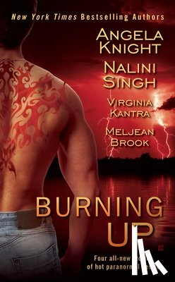 Brook, Meljean, Kantra, Virginia, Knight, Angela - Burning Up