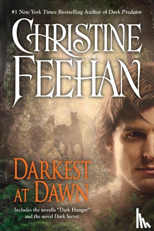 Feehan, Christine - Darkest at Dawn