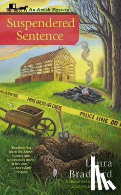 Bradford, Laura - SUSPENDERED SENTENCE