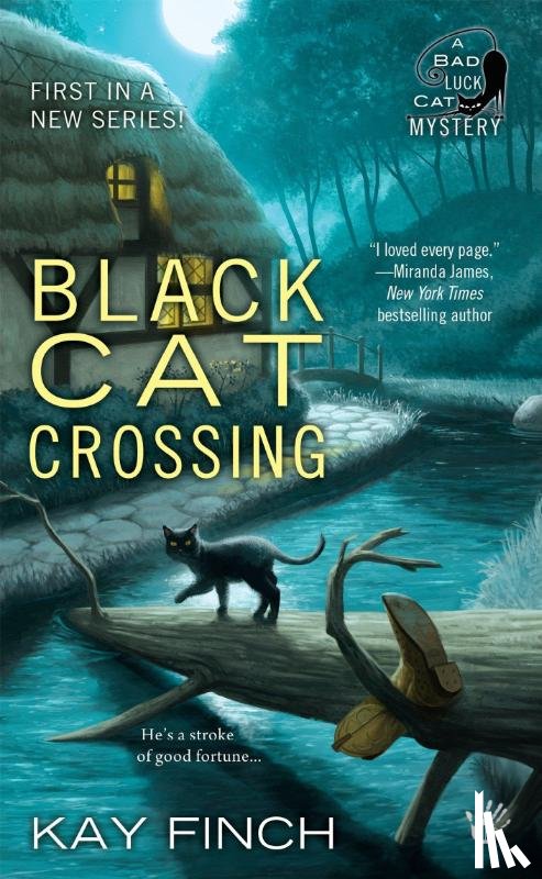 Finch, Kay - Black Cat Crossing