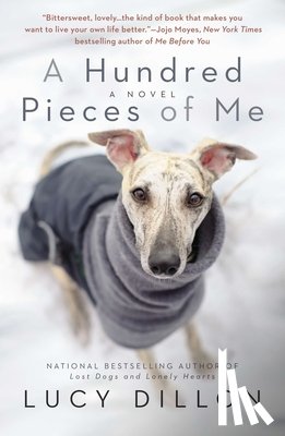 Dillon, Lucy - A Hundred Pieces of Me