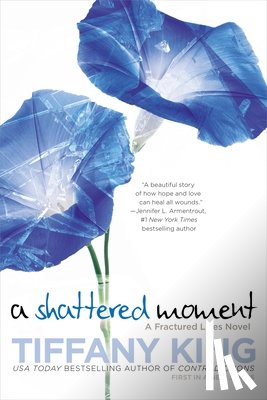 King, Tiffany - A Shattered Moment