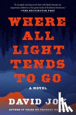 Joy, David - Where All Light Tends to Go