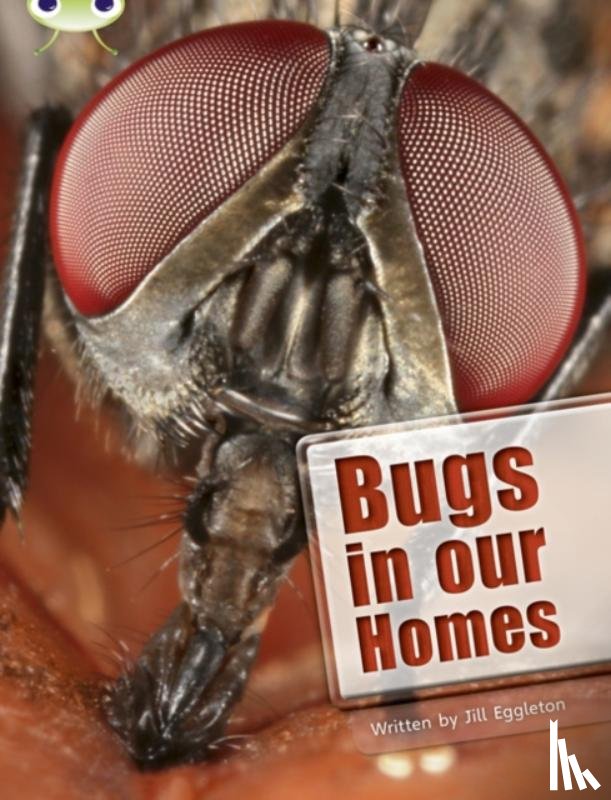 Eggleton, Jill - Bug Club Independent Non Fiction Year Two Lime A Bugs in our Homes
