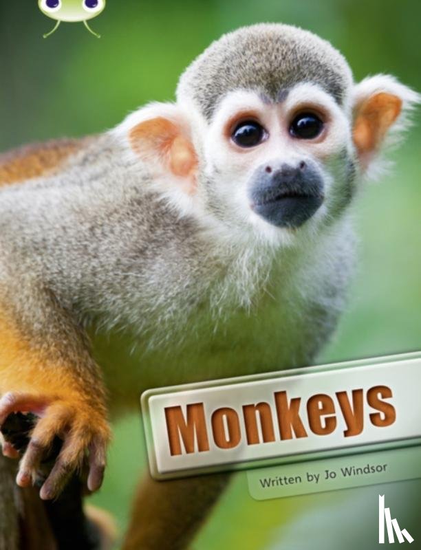 Windsor, Jo - Bug Club Guided Non Fiction Year 3 White A Monkeys