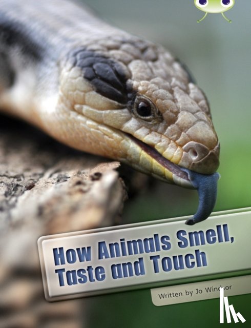 Windsor, Jo - Bug Club Independent Non Fiction Year Two White A How Animals Smell, Taste and Touch