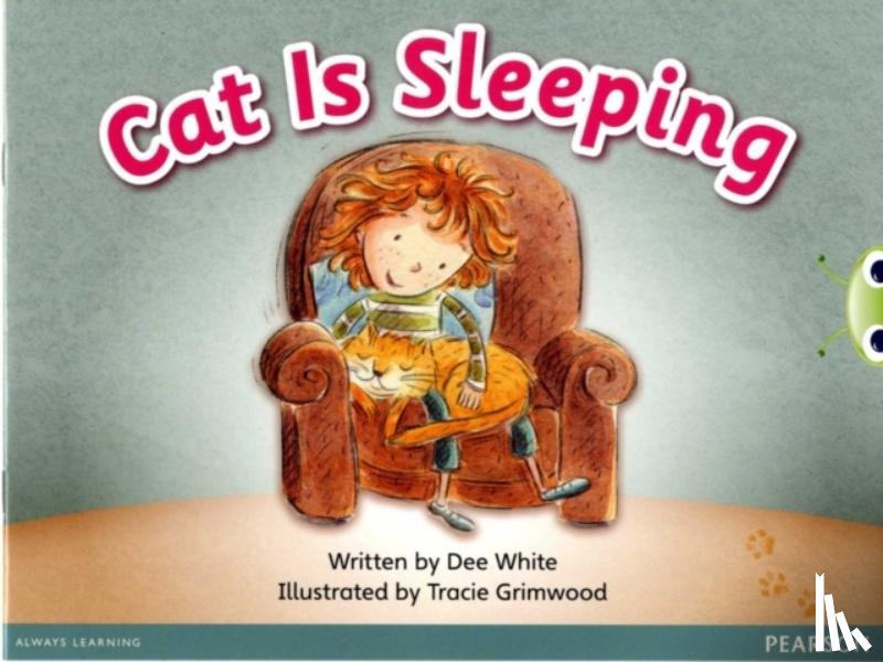 White, Dee - Bug Club Guided Fiction Reception Pink A Cat is Sleeping
