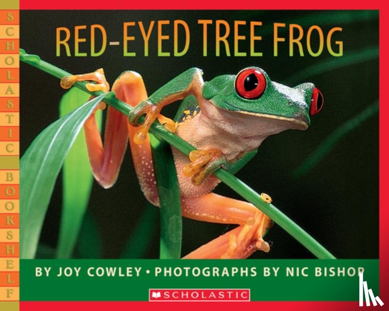 Cowley, Joy - RED-EYED TREE FROG