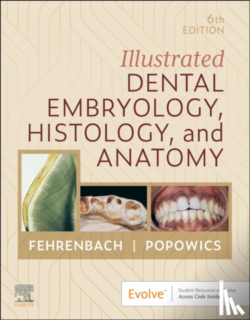 Fehrenbach, Margaret J. (Oral Biologist and Dental Hygienist; Previous Adjunct Instructor, Popowics, Tracy (Associate Professor - Illustrated Dental Embryology, Histology, and Anatomy