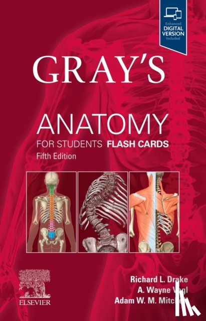 Drake, Richard L. (Director of Anatomy, Vogl, A. Wayne (Professor of Anatomy and Cell Biology, Mitchell, Adam W. M. (Lecturer - Gray's Anatomy for Students Flash Cards