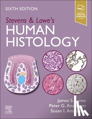 Lowe, James S. (Emeritus Professor of Neuropathology, Anderson, Peter G. (Professor of Molecular and Cellular Pathology, Anderson, Susan I. - Stevens & Lowe's Human Histology