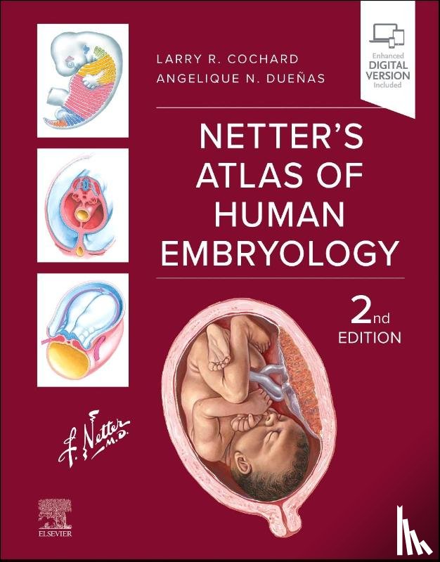 Cochard, Larry R. (The Feinberg School of Medicine, Duenas, Angelique N. - Netter's Atlas of Human Embryology