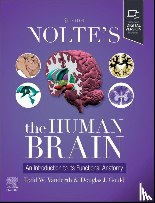 Vanderah, Todd W., Gould, Douglas J. (Distinguished Professor and Chair - Nolte's The Human Brain