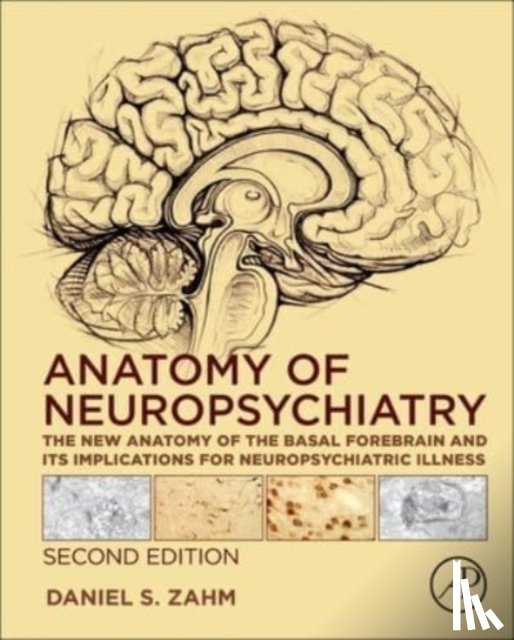 Zahm, Daniel S. (Saint Louis University, St. Louis, MO, USA) - Anatomy of Neuropsychiatry