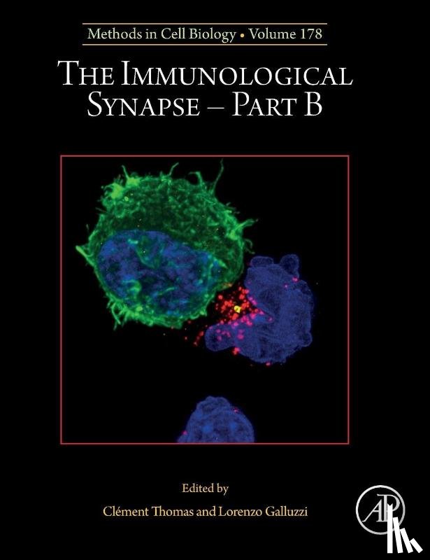  - The Immunological Synapse - Part B