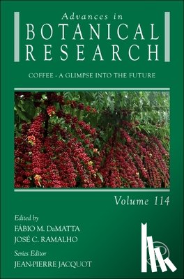Damatta, Fabio - Coffee: Volume 114