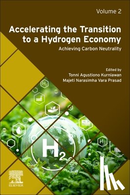  - Accelerating the Transition to a Hydrogen Economy