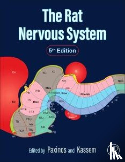  - The Rat Nervous System