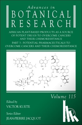  - African Plant-Based Products as a Source of Potent Drugs to Overcome Cancers and their Chemoresistance