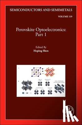 Shen, Heping - Perovskite Optoelectronics