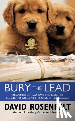 Rosenfelt, David - BURY THE LEAD