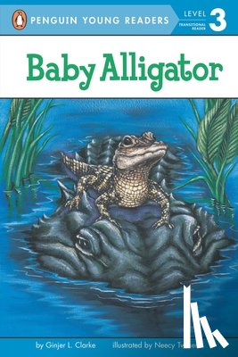 Clarke, Ginjer L. - Baby Alligator