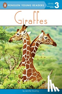 Jennifer Dussling - Giraffes