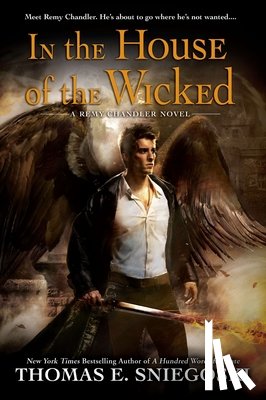 Sniegoski, Thomas E. - In the House of the Wicked