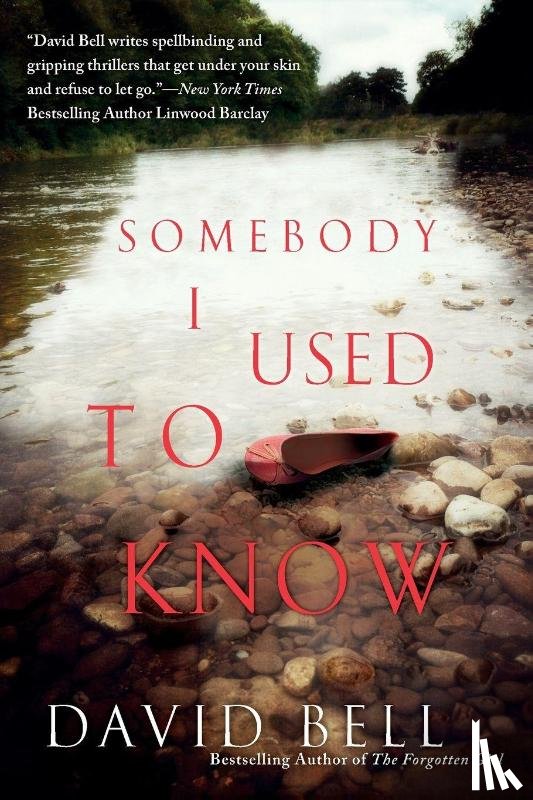 Bell, David - Somebody I Used to Know