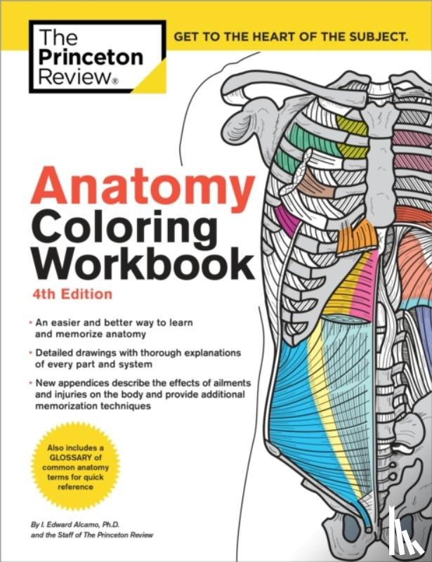 The Princeton Review, Alcamo, Edward - Anatomy Coloring Workbook, 4th Edition