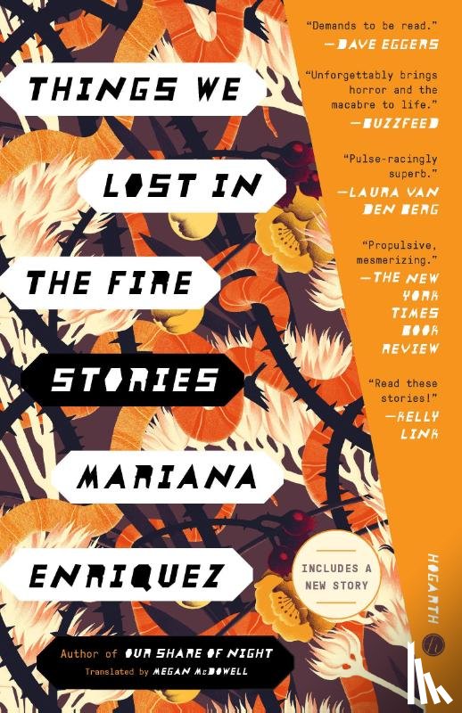 Enriquez, Mariana - Enriquez, M: Things We Lost in the Fire