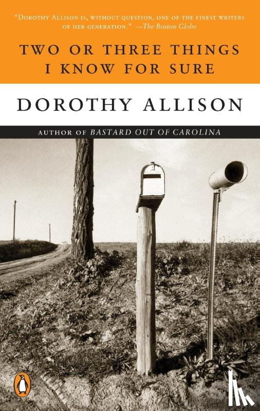 Dorothy Allison - Two or Three Things I Know for Sure