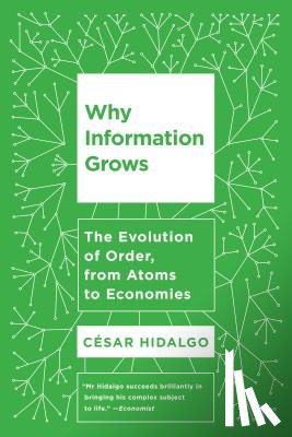 Cesar Hidalgo - Why Information Grows
