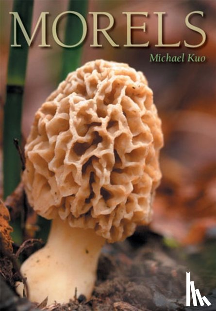 Kuo, Michael - Morels