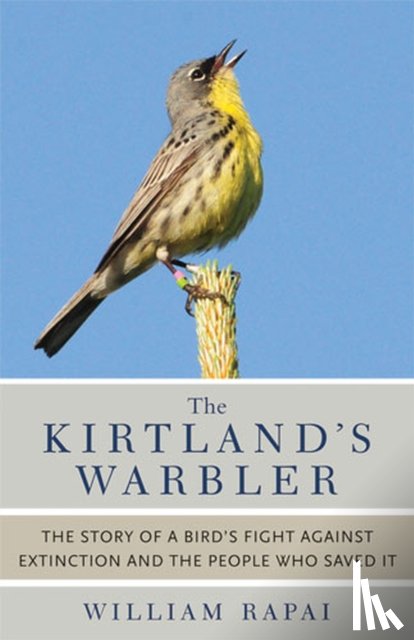 Rapai, William - The Kirtland's Warbler