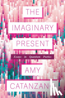 Catanzano, Amy - The Imaginary Present: Essays in Quantum Poetics