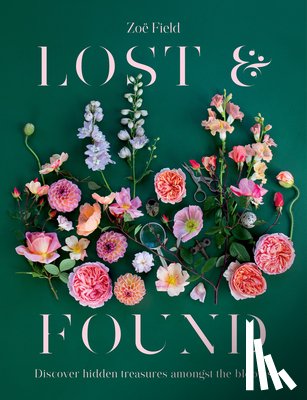 Field, Zoe - Lost & Found