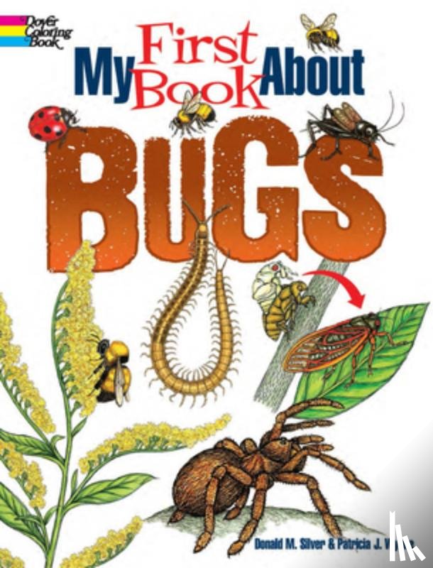 Wynne, Patricia - My First Book About Bugs