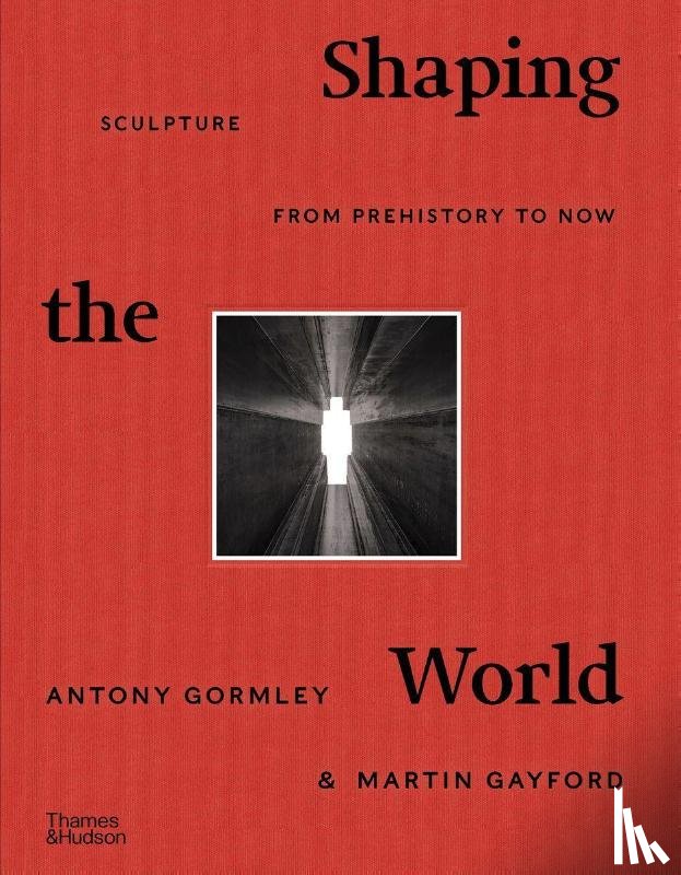 Gormley, Antony, Gayford, Martin - Shaping the World
