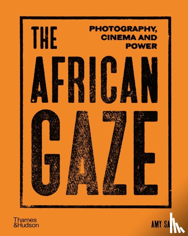 Sall, Amy - The African Gaze
